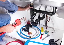 Professional Plumbing  in Franklin, VA